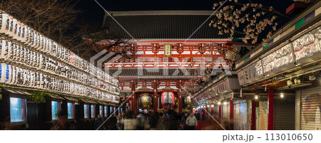 「東京都」夜の浅草寺・仲見世通りから宝蔵門を望む 「東京都」夜の浅草寺・仲見世通りから宝蔵門を望む 113010650