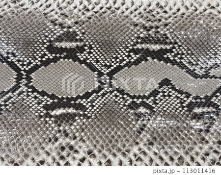 テクスチャ素材 パイソン革 ナチュラル テクスチャ素材 パイソン革 ナチュラル 113011416