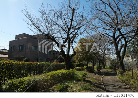 近所を歩いた 113011476