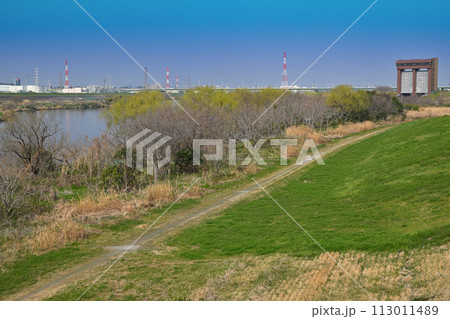荒川本流 笹目橋付近からの風景 春の風景 荒川本流 笹目橋付近からの風景 春の風景 113011489