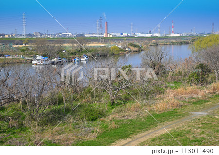 荒川本流 笹目橋付近からの風景 春の風景 荒川本流 笹目橋付近からの風景 春の風景 113011490