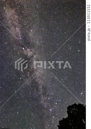 夏の星空 カシオペア座と白鳥座 夏の星空 カシオペア座と白鳥座 113011552