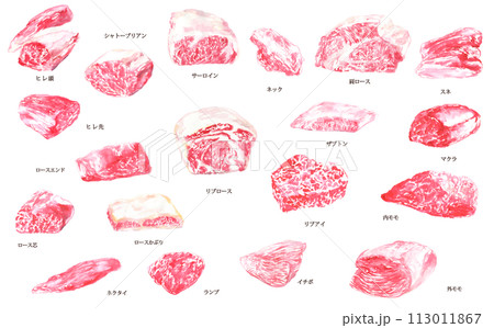 水彩で描いた牛肉の様々な部位のイラスト 水彩で描いた牛肉の様々な部位のイラスト 113011867