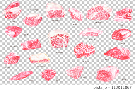 水彩で描いた牛肉の様々な部位のイラスト 水彩で描いた牛肉の様々な部位のイラスト 113011867