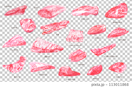 Illustration of various parts of beef drawn in watercolor 113011868
