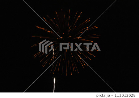 打ち上げ花火 打ち上げ花火 113012029