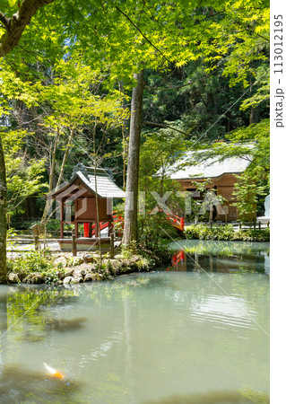 遠江国一宮 小國神社 宗像社と八王子社 遠江国一宮 小國神社 宗像社と八王子社 113012195