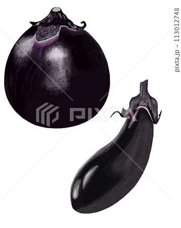 丸茄子と長茄子 113012748
