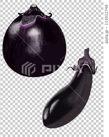 丸茄子と長茄子 113012748