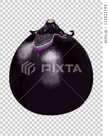 Marugus eggplant Marugus eggplant 113012749