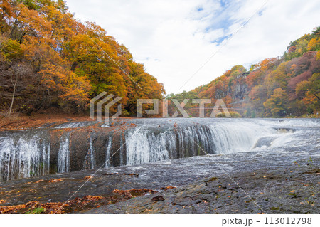 群馬県沼田市の秋　紅葉の吹割渓谷　吹割の滝 113012798