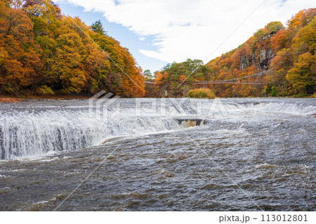 群馬県沼田市の秋 紅葉の吹割渓谷 吹割の滝 群馬県沼田市の秋 紅葉の吹割渓谷 吹割の滝 113012801