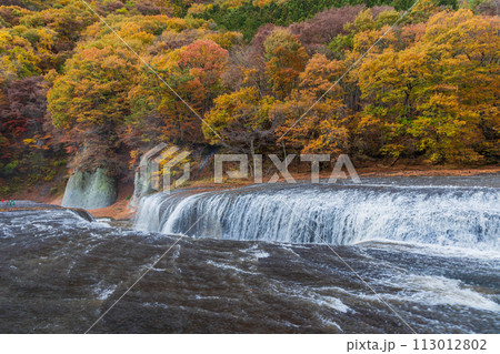 群馬県沼田市の秋　紅葉の吹割渓谷　吹割の滝 113012802