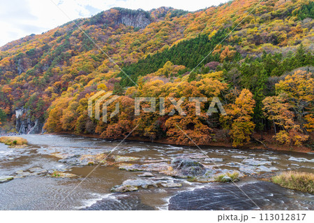群馬県沼田市の秋　紅葉の吹割渓谷 113012817