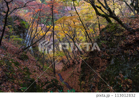 群馬県沼田市の秋　紅葉の吹割渓谷 113012832