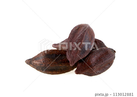 cacao pod isolated on white background 113012881