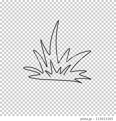 A grassy plant with a long stem 113013165