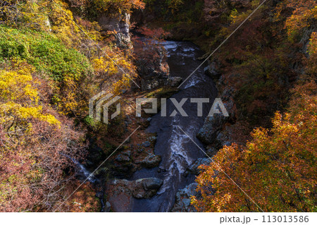 群馬県沼田市の秋　紅葉の吹割渓谷 113013586