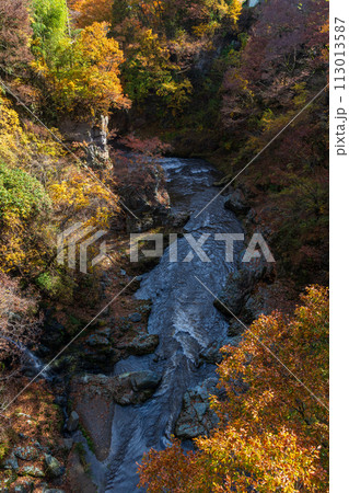 群馬県沼田市の秋　紅葉の吹割渓谷 113013587