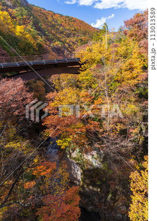 群馬県沼田市の秋　紅葉の吹割渓谷 113013589