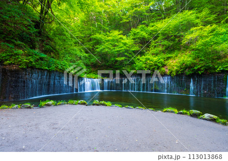 白糸の滝（軽井沢） 113013868
