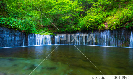 白糸の滝(軽井沢) 白糸の滝(軽井沢) 113013960