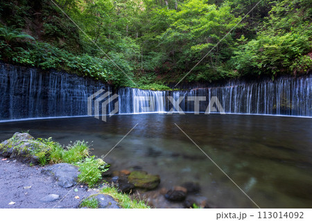白糸の滝(軽井沢) 白糸の滝(軽井沢) 113014092