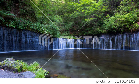 白糸の滝（軽井沢） 113014105