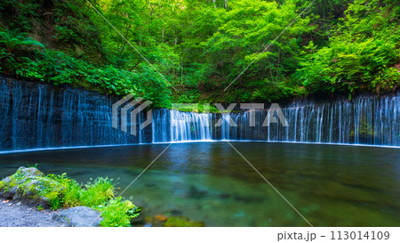 白糸の滝(軽井沢) 白糸の滝(軽井沢) 113014109