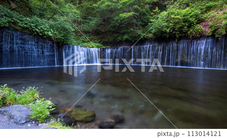白糸の滝（軽井沢） 113014121