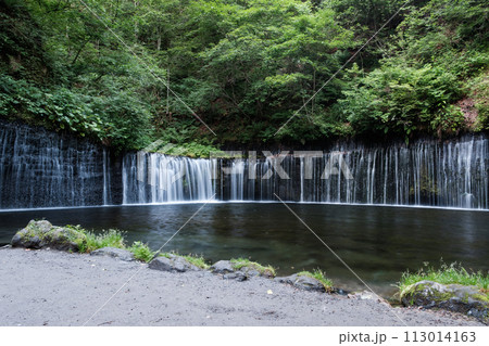 白糸の滝（軽井沢） 113014163