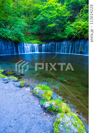 白糸の滝（軽井沢） 113014228