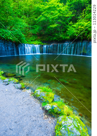 白糸の滝（軽井沢） 113014229