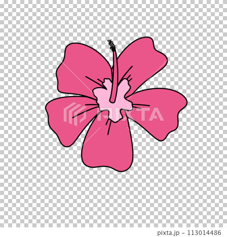 A pink flower with a pink stem 113014486