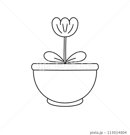 A flower is in a white bowl 113014804