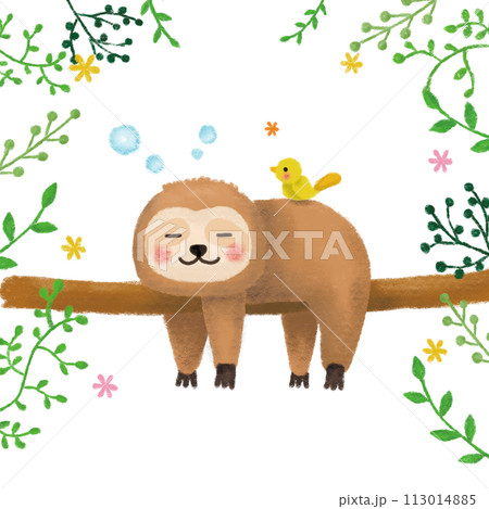 手書き風のナマケモノのイラスト 手書き風のナマケモノのイラスト 113014885