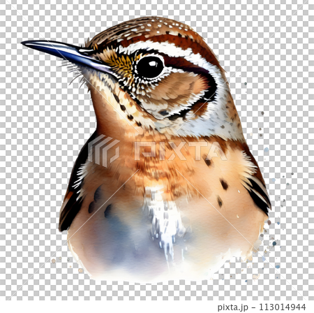 Watercolor painting of a bird, Ai-generated. Watercolor painting of a bird, Ai-generated. 113014944