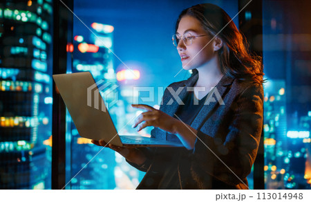 businesswoman working on laptop businesswoman working on laptop 113014948