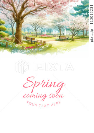 満開の桜と春の公園の水彩イラストの背景 113015231