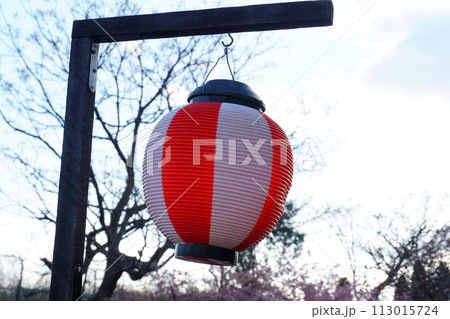 紅白の提灯 113015724