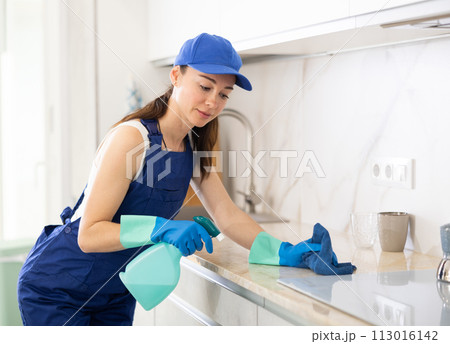 young positive girl is cleaning kitchen young positive girl is cleaning kitchen 113016142