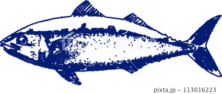 リアルな鯖の線画イラスト 113016223