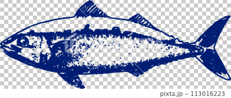 リアルな鯖の線画イラスト 113016223
