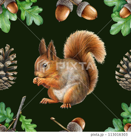 * vintage squirrel ୨୧ * 栗色の キュートなリスさん vintage squirrel ୨୧ * 栗色の キュートなリスさん vintage squirrel