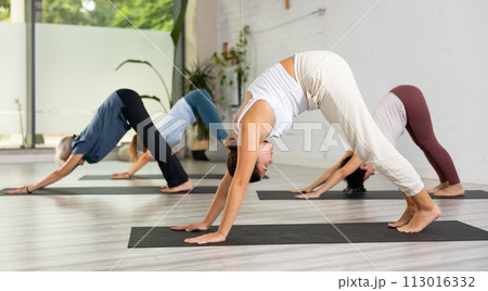 Nice girl with other people relaxing and enjoying yoga in fitness center 113016332