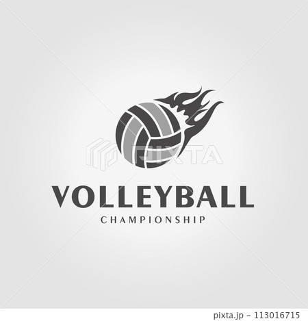 minimalist volleyball logo with fire in the top, illustration design of volleyball club icon minimalist volleyball logo with fire in the top, illustration design of volleyball club icon 113016715
