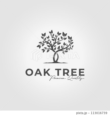 minimalist logo of oak tree, vector design illustration of olive tree, eden, acacia in summer 113016739
