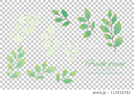 Simple illustration material of watercolor handwritten leaves 113016782