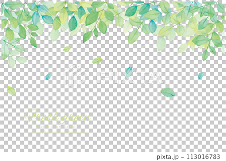 Watercolor fresh green vector illustration frame Watercolor fresh green vector illustration frame 113016783