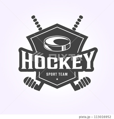 hockey stick logo icon design badge, hockey sport team illustration vector template 113016952